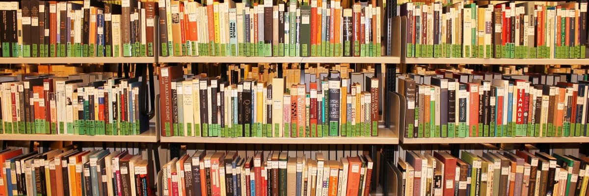 Das Foto zeigt ein Regal mit zahlreichen Büchern in einer Bücherei